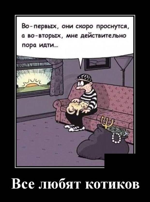 Демотиваторы (20 фото)