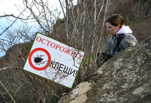 «Известия»: 1,5 тыс. человек обратились в лаборатории с укусом клеща в 2026 году