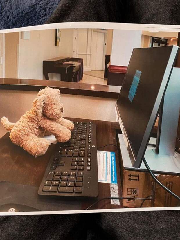 Девочка забыла любимую игрушку в отеле, но сотрудники взяли её на работу и прислали отчёт