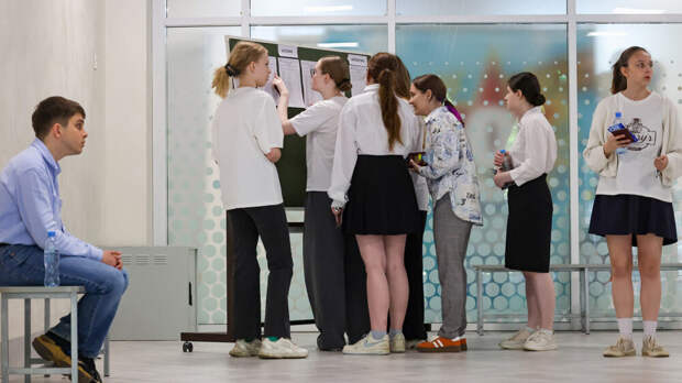 «Система не работает»: в Совфеде призвали отменить ЕГЭ из-за нового экзамена