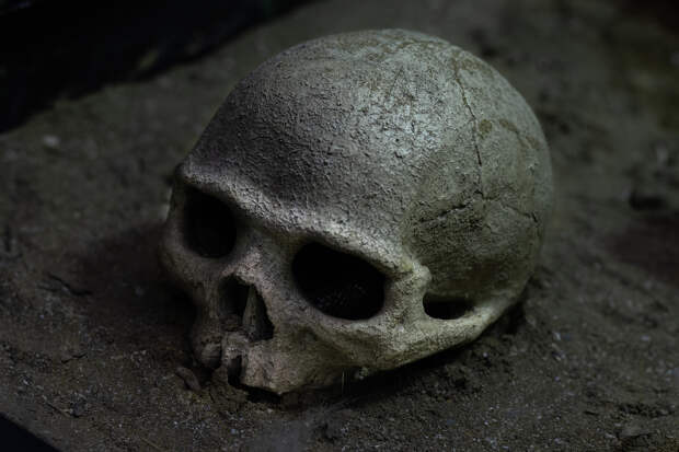 Рабочие нашли окруженый черепами древний алтарь