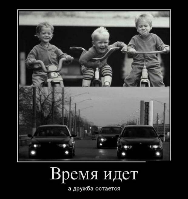 Демотиваторы (20 фото)