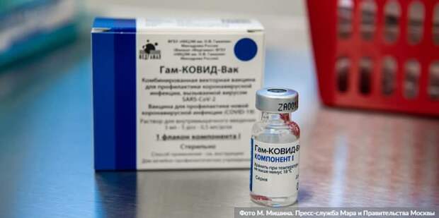 Собянин: москвичи старше 60 лет с 28 декабря смогут записаться на прививку от COVID-19/Фото: М. Мишин mos.ru