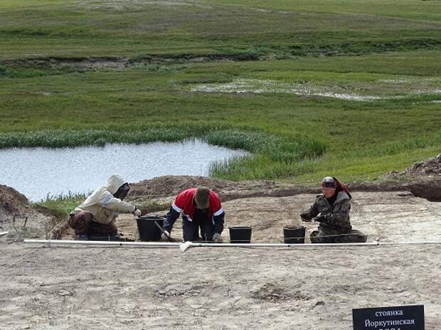 Археологи нашли на Ямале останки людей с заведенными за таз руками и сжатыми кулаками
