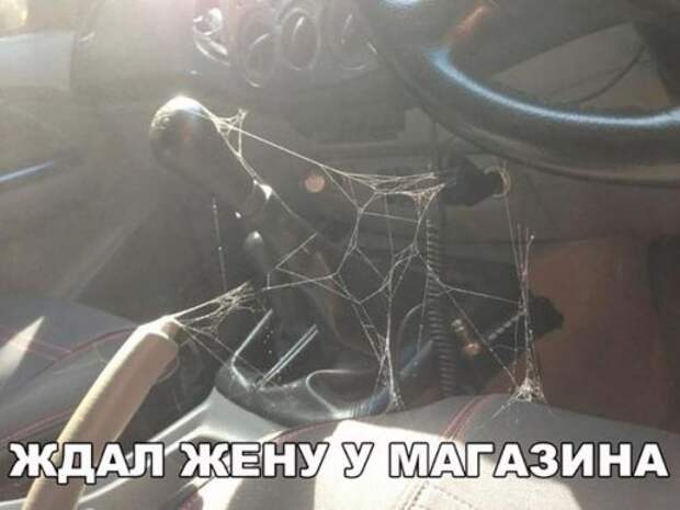 Прикольные картинки на автотематику (28 фото)