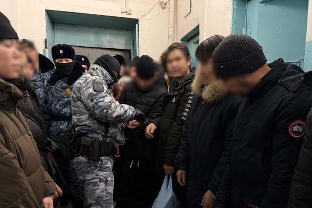 В Новосибирской области за пять дней возбудили 54 миграционных уголовных дела