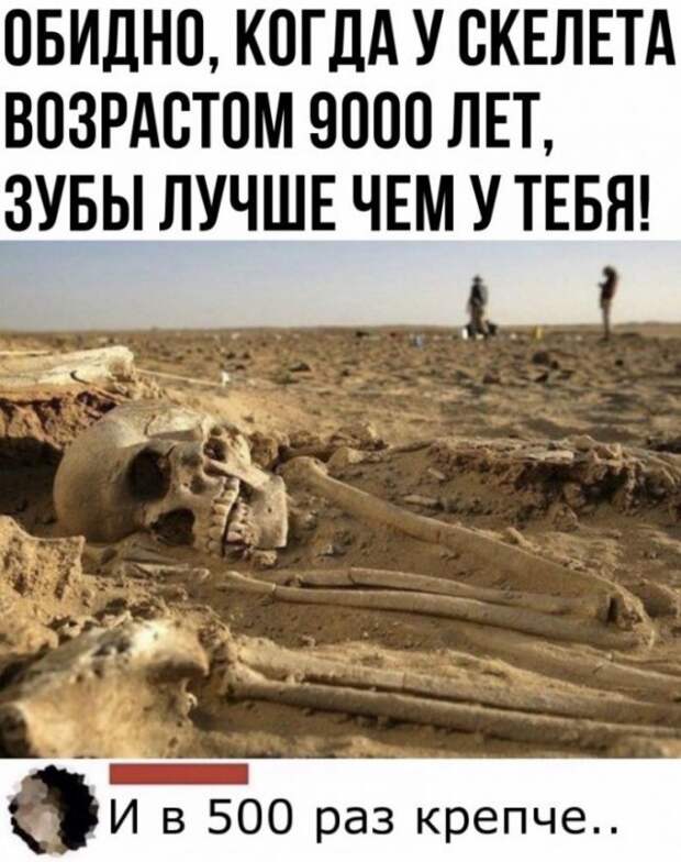 Смешные комментарии к постам в социальных сетях