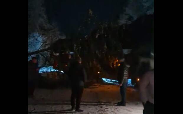 Под Касимовом дерево перекрыло дорогу