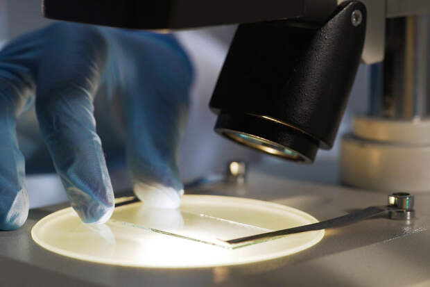 AnaMeths: сканирующая электронная микроскопия выявляет асбест вне лаборатории