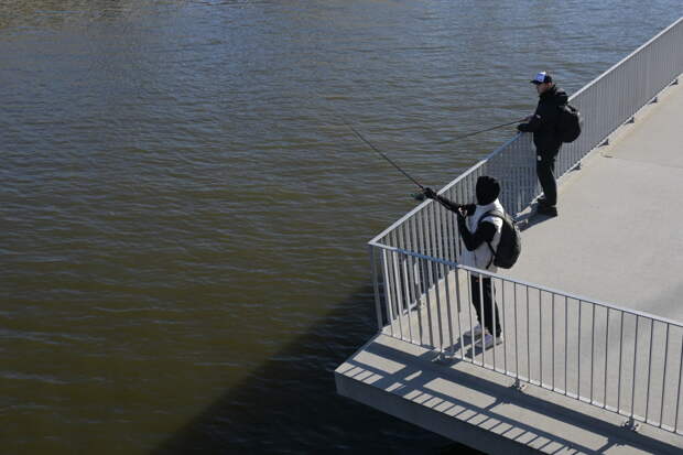 Рыбаков успокоили насчет пойманной в Москве рыбы