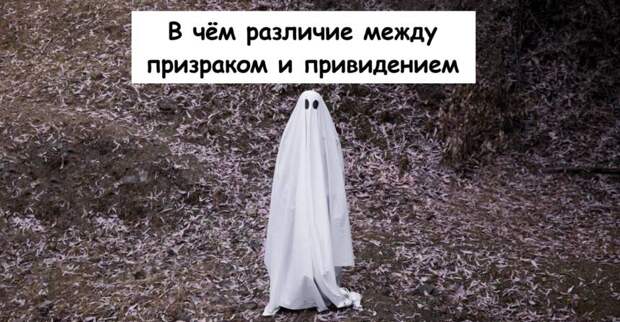 В чём различие между призраком и привидением