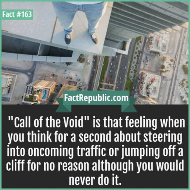 Everyday Life Facts