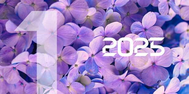 ОПИФы ТКБ Инвестмент Партнерс: успехи и перспективы