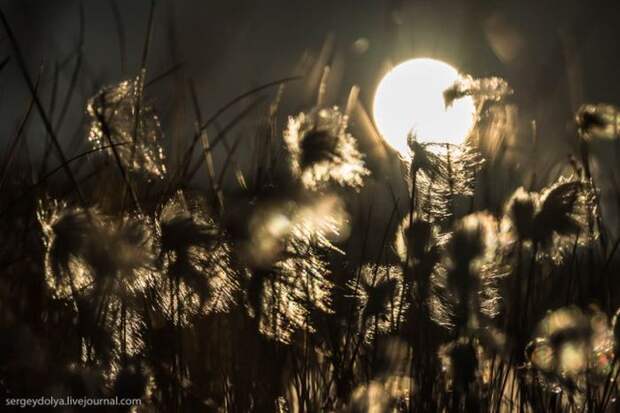 Как живут современные чукчи (29 фото)