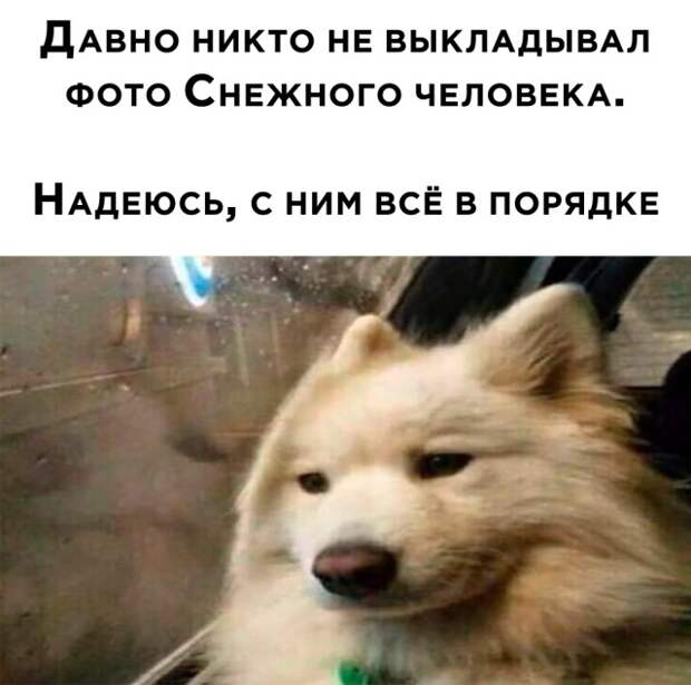 Смешные картинки вечер 4 февраля 2021