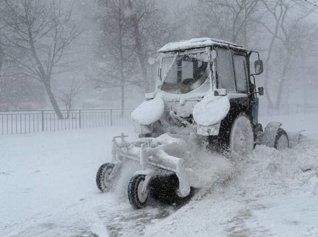 Зимний вихрь: Приморье встречает последний новогодний выходной со снегом и метелью