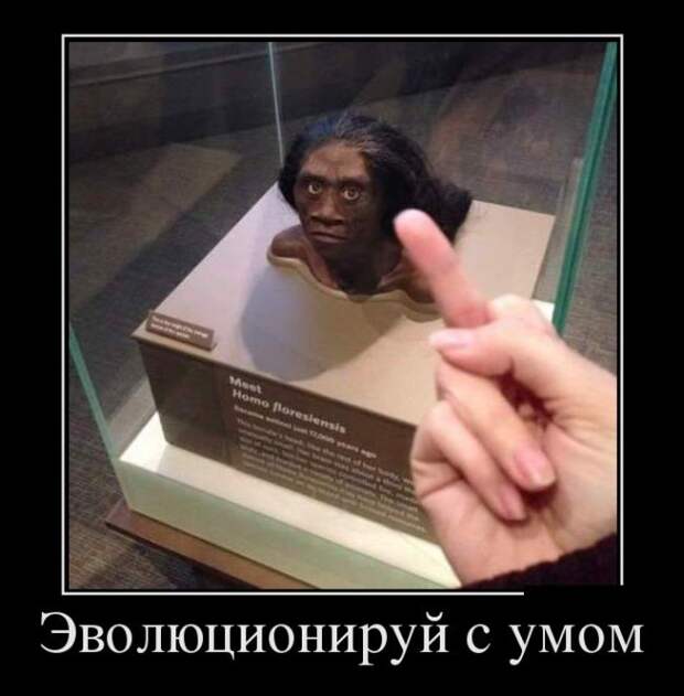 1449169348_06