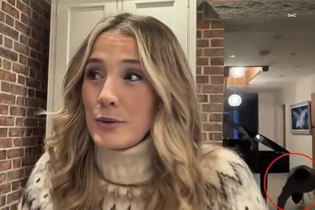 Телеведущая вышла в эфир из дома и попала в забавную ситуацию