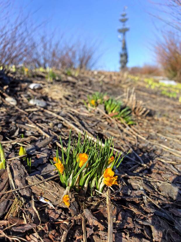 Ну вот и весна наконец