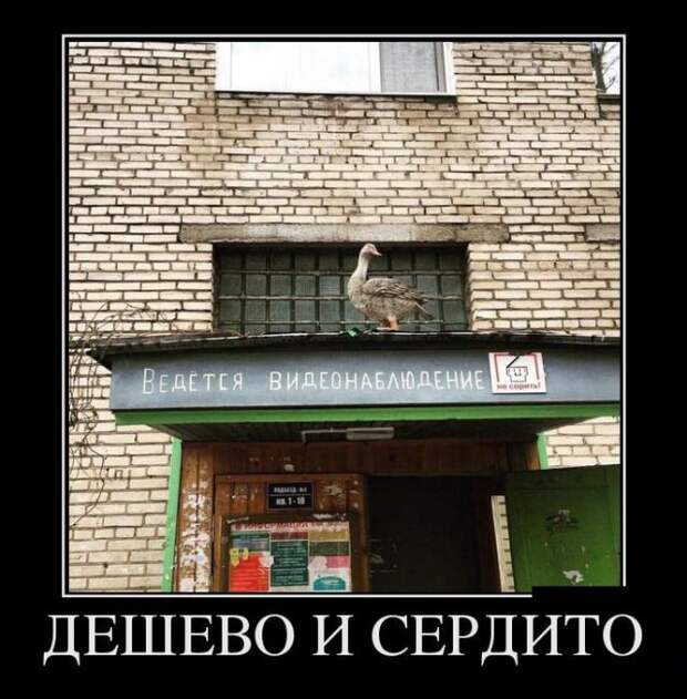 Демотиваторы (30 фото)
