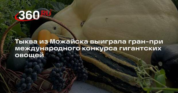 Тыква из Можайска выиграла гран-при международного конкурса гигантских овощей
