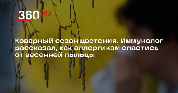 Иммунолог Болибок: от аллергии на пыльцу березы в России давно есть вакцина