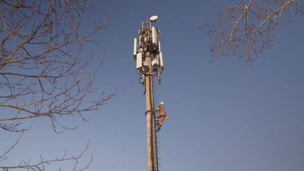 Тенденции башенного рынка: «Пилар» опережает ближайшего конкурента на 500 опор – Telecom Daily