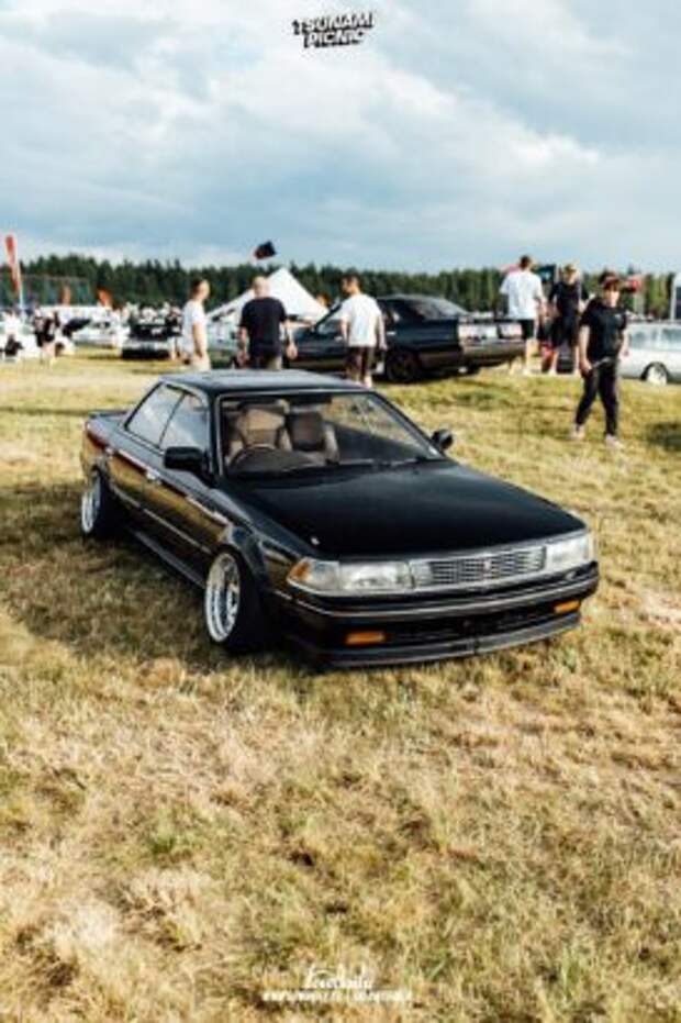 tsunami picnic x lowdaily 75