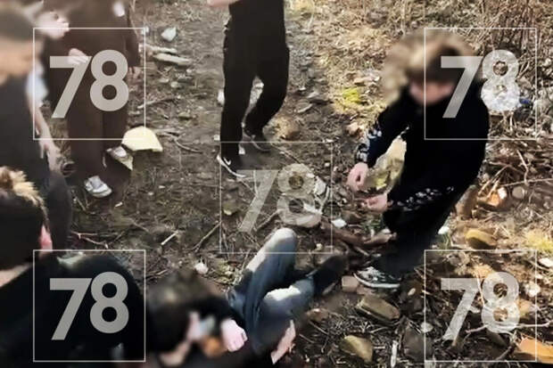 В Ленобласти подростки толпой издеваются над школьником-инвалидом