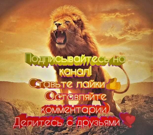 Летающий носорог!