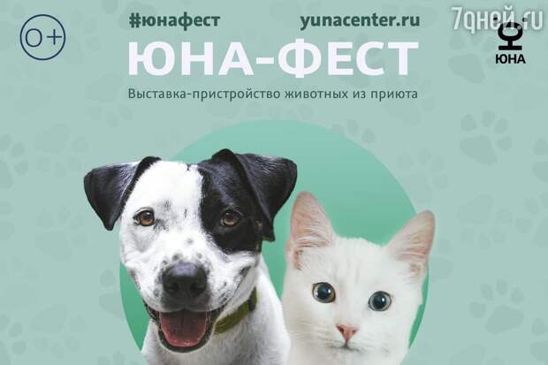 «Юна-Фест»: 120 собак и кошек будут ждать хозяев на московском фестивале