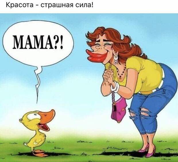 Смешные до слез мемы и картинки