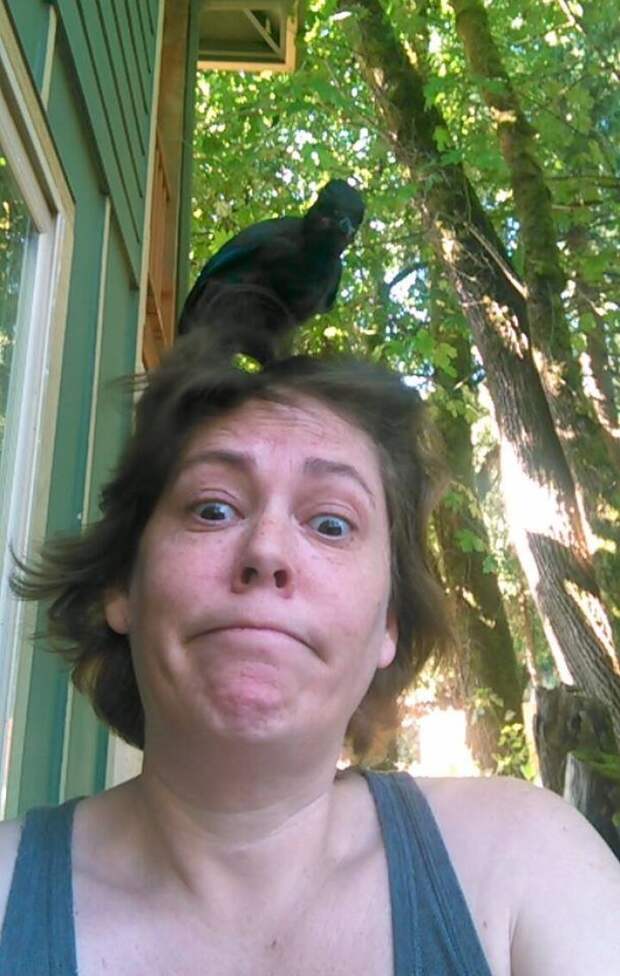 This Bird Landed On My Head, So I Assume We're Friends Now