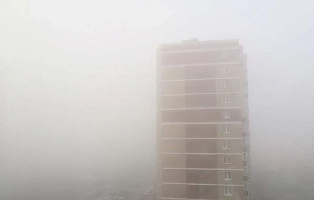 В Тульской области в ближайший час ожидается сильный туман