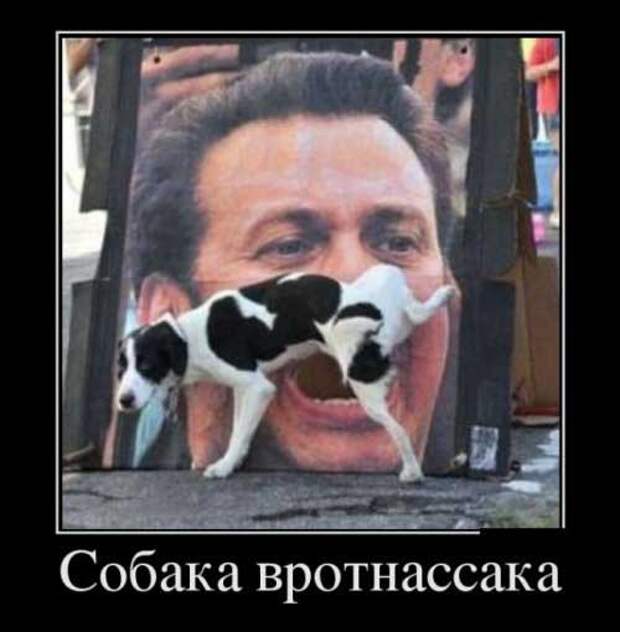 анекдоты в картинках смешные до слез