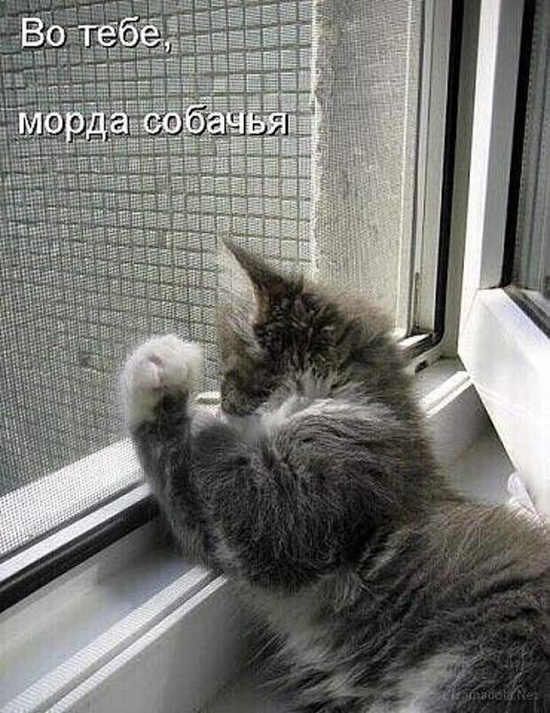 Подборка улетных картинок и мемов