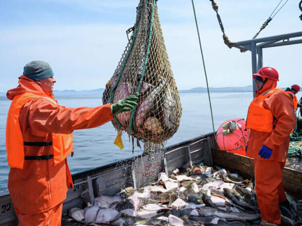 Япония гневно потребовала от России снять ограничения на импорт морепродуктов