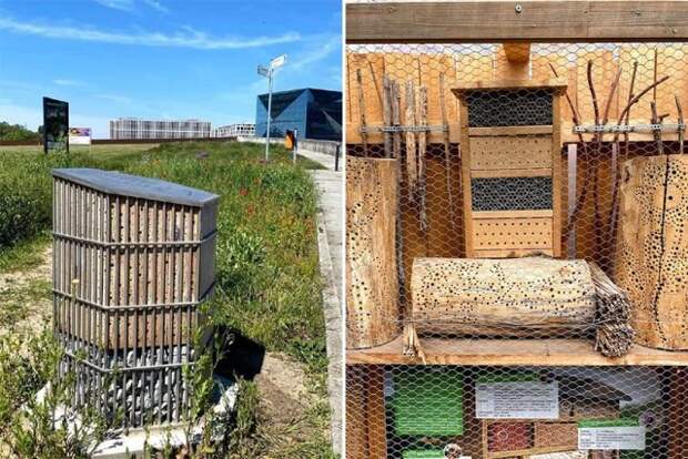 ульи в ландшафтном дизайне