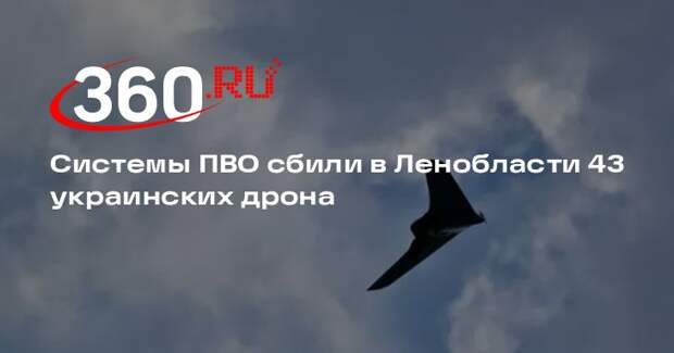 Системы ПВО сбили в Ленобласти 43 украинских дрона
