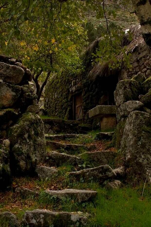 Не Шервуд, но лес