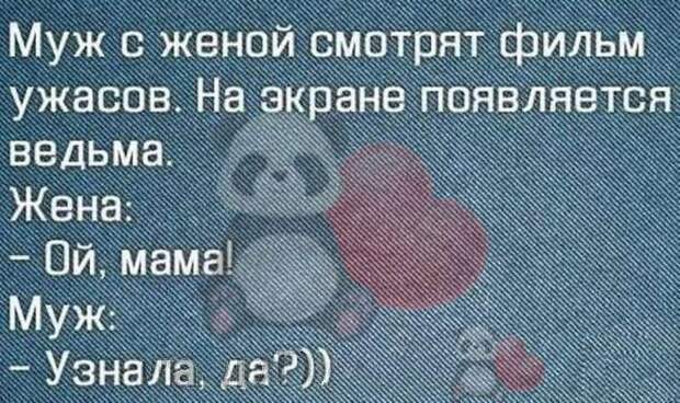 Свежая порция из 15 хороших и добрых коротких историй из сети