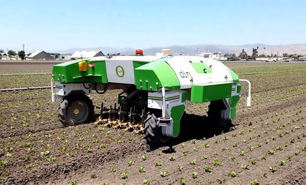 Роботы заменят даже крестьян. В Китае они уже научились собирать яблоки