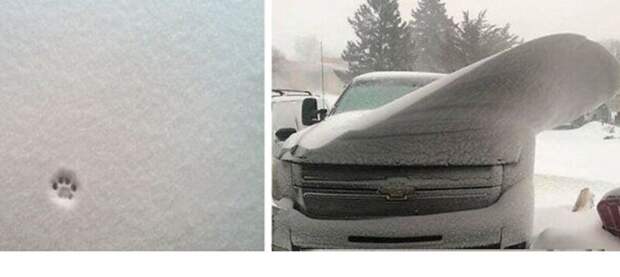 Снежные чудеса, которые увидишь раз в жизни