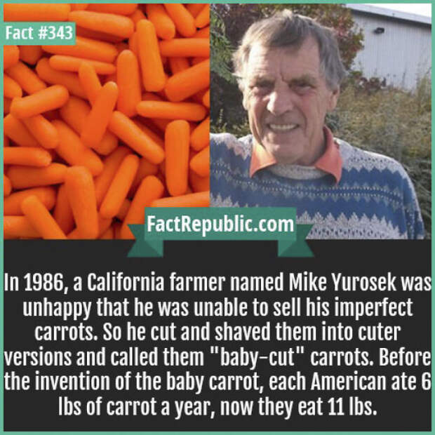 Everyday Life Facts