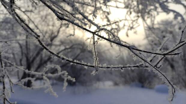 До -22. О погоде в Барнауле 11 декабря