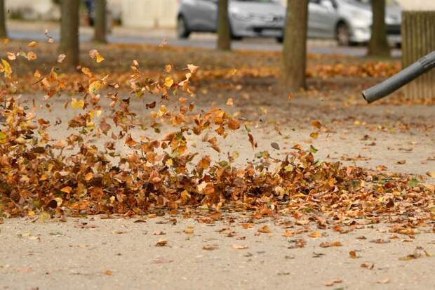 Мужчина в одном халате вышел из дома в семь утра и стал легендой района