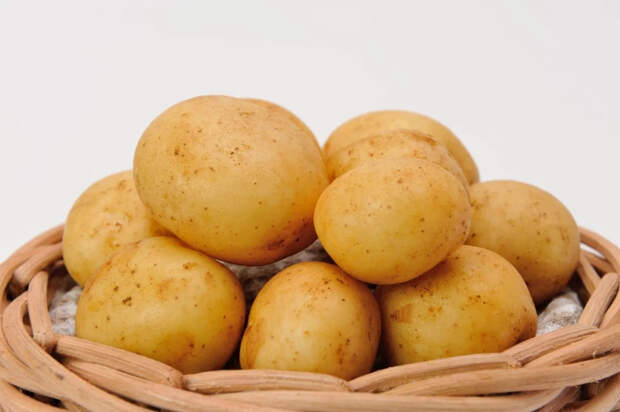 Россиянам рассказали, как правильно подготовить картофель к посадке