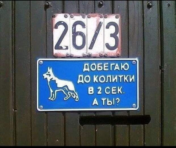 Пусть бежит до колитки, я в калитку войду Пусть бежит до колитки, я в калитку войду
