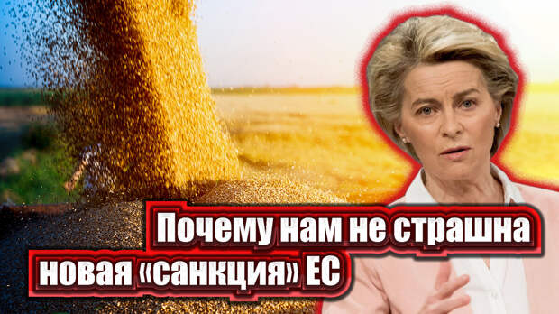 На какие еще ресурсы и товары России не наложили пошлины? Кажется, уже на все у нас санкции и стопы со стороны Запада. Вот зерна еще не коснулись, но теперь добрались и до него.