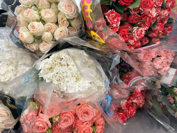 Петербуржцам перед 8 Марта напомнили, какие цветы опасны для домашних питомцев